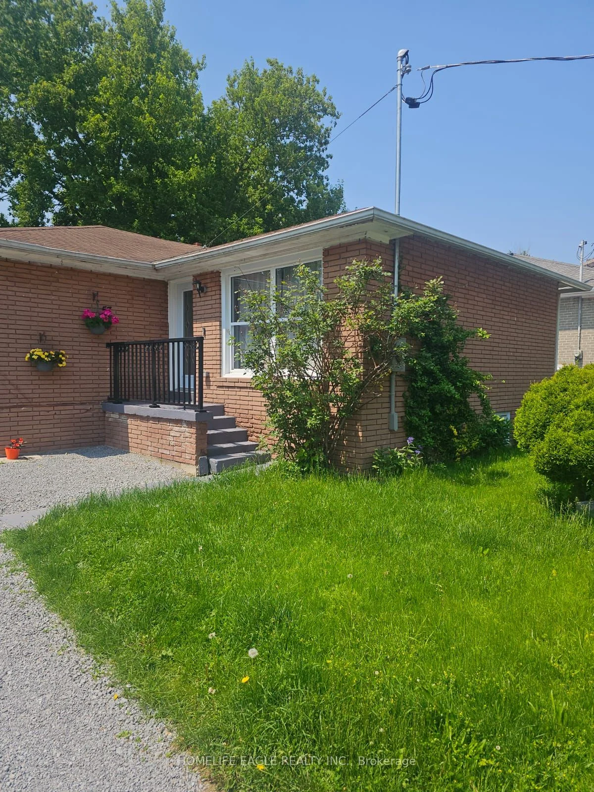 57 Walter Avenue, Newmarket, On L3y 2t4
