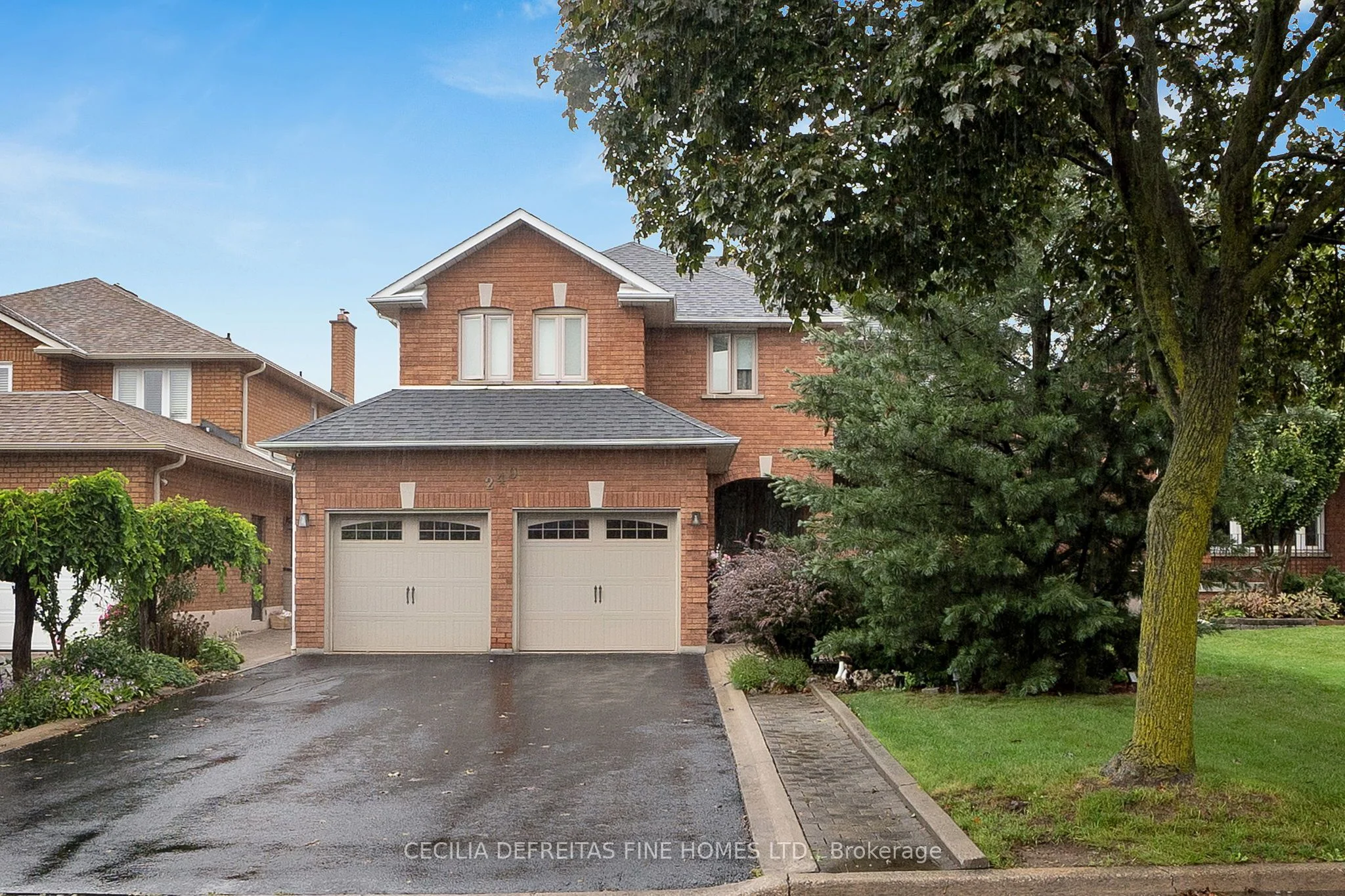 249 Dante Court Bsmt, Vaughan, ON L4L 7W8