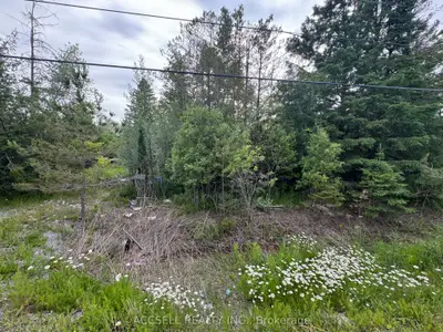 Vacant Land in East Gwillimbury