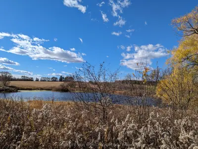 Detached in Whitchurch-Stouffville