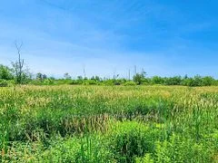 20200 48 Highway, East Gwillimbury, ON L0G 1M0