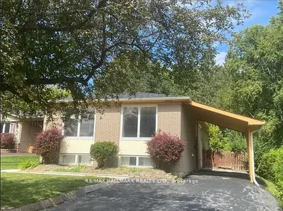 331 Roywood Crescent MAIN, Newmarket, ON L3Y 1A7