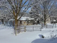 6824 10th Line, New Tecumseth, On L0g 1a0