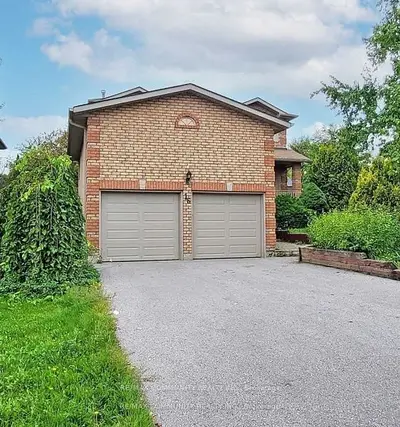16 Litner Crescent Basement, Georgina, ON L4P 3V1