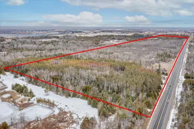 Park Road, Georgina, ON, L0E 1R0