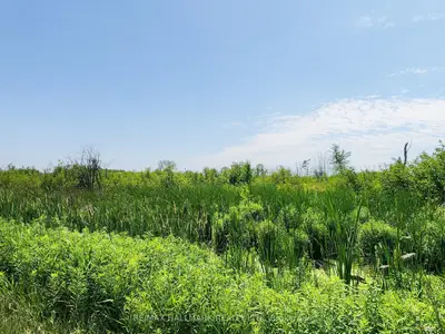 20200 Highway 48, East Gwillimbury, ON, L0G 1M0