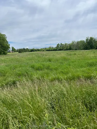 Highway 48, Georgina, On, L0e 1n0