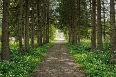 22772 Weirs Side Road, Georgina, On L0c 1n0