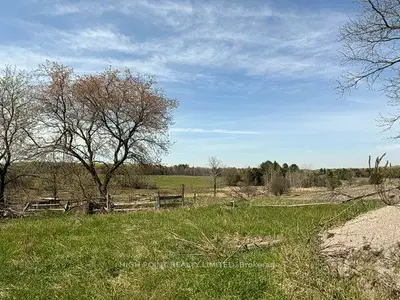 4219 Mt Albert Road, East Gwillimbury, On L0g 1m0