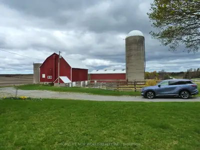 23702 Kennedy Road, Georgina, On L0e 1r0