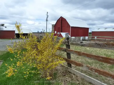 23702 Kennedy Road, Georgina, On L0e 1r0