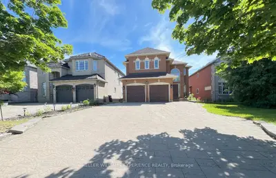 44 Alpine Crescent Bsmt, Richmond Hill, On L4s 1w4