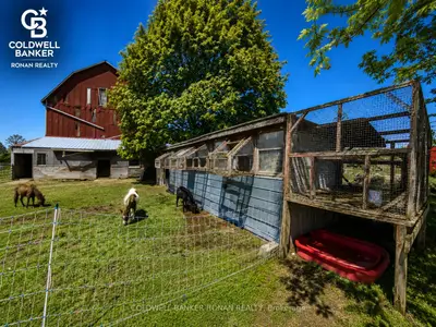 6703 Pine Plains Road E, Adjala-tosorontio, On L0m 1j0
