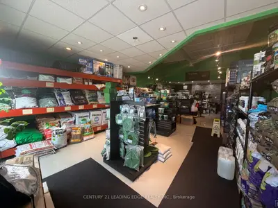 559 Steven Court 4, Newmarket, On L3y 6z3