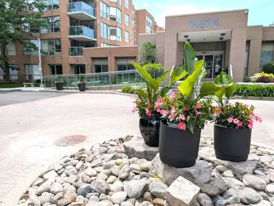 Condo Apartment in Aurora
