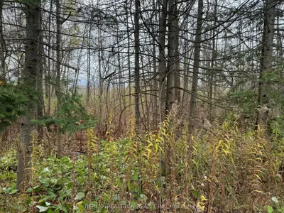 0 Taylorwoods Boulevard, Innisfil, On L9s 2e9