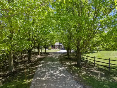 16455 11th Concession, King, On L0g 1t0