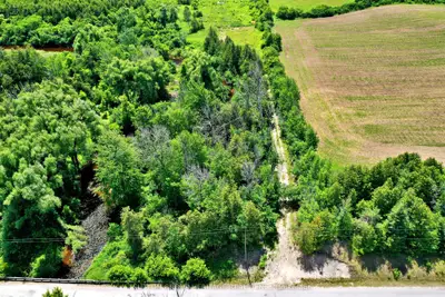 Lot 12 Concession 13, Brock, On L0e 1e0