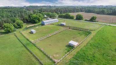 1604 Concession Rd 8, Adjala-tosorontio, On L0g 1w0