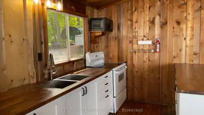 42 Snake Island Road, Georgina Islands, On L4p 3e9