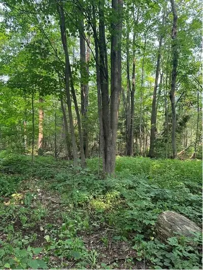 2728 25th Side Road, Innisfil, On L9s 3t5