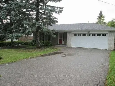 303 Millard(main Level) Avenue, Newmarket, On L3y 1z3