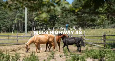 16558 Highway 48, Whitchurch-stouffville, On L4a 7x4