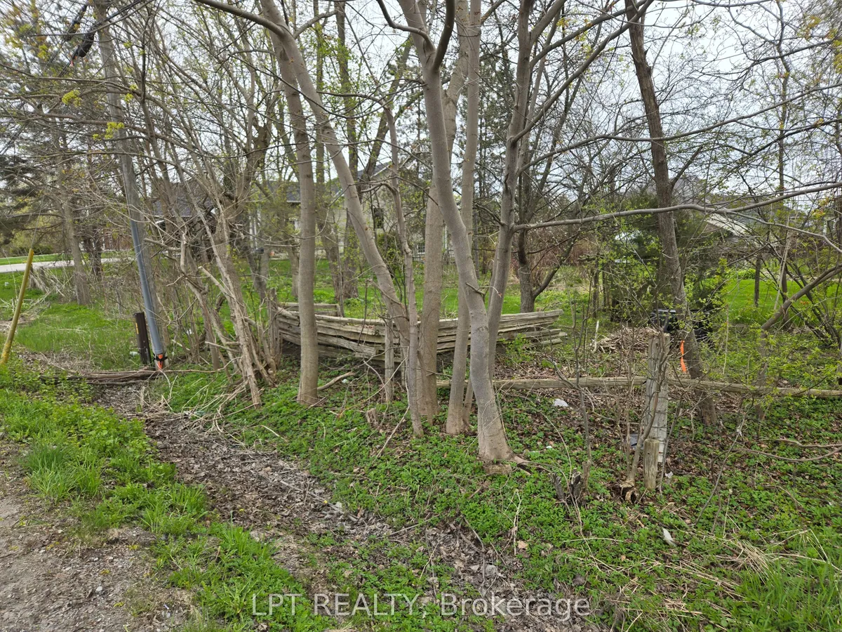 Lot Metro Road N, Georgina, On L4p 3c8