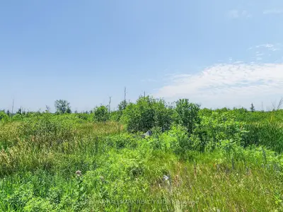 20200 Highway 48, East Gwillimbury, On L0g 1m0