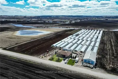 331 Tornado Drive, Bradford West Gwillimbury, On L3z 2a6