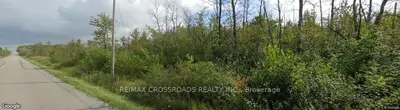 Lot#10 Mccowan Road, Georgina, On L0e 1r0