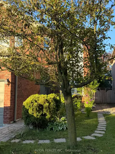 79 Sweet Water Crescent Basement, Richmond Hill, On L4s 2b2