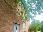 97 Long Point Drive Basement, Richmond Hill, On L4e 3z7