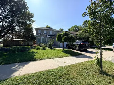 2 Higginson Street #lower, Markham, On L3p 6h6