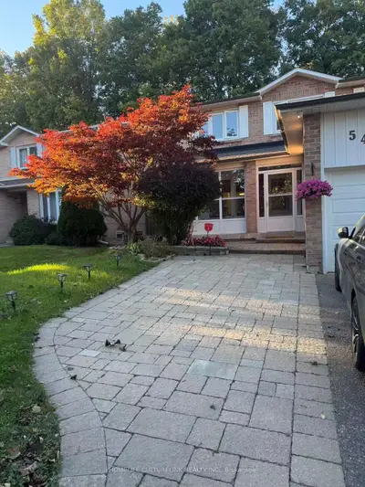 547 Raymerville Drive Bsmt, Markham, On L3p 6g3