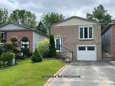 6 Longview Drive Bsmt, Bradford West Gwillimbury, On L3z 2h1