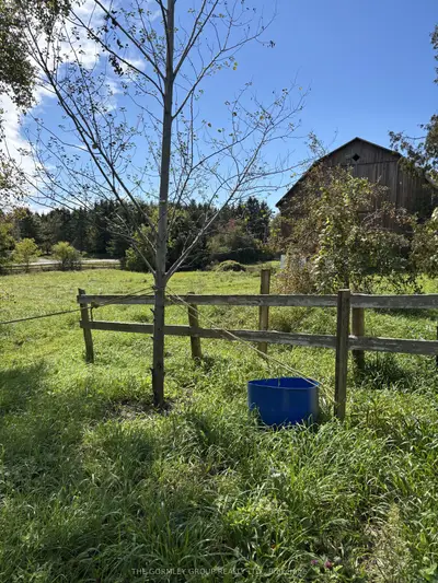 5006 Vandorf Road, Whitchurch-stouffville, On L4a 3g6