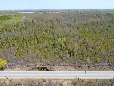 23995 MCCOWAN Road, Georgina, ON L0E 1R0