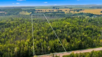6905 County Road 21, Essa, On L9r 1v2
