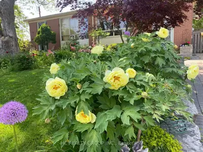 274 Browndale Crescent, Richmond Hill, On L4c 3j2