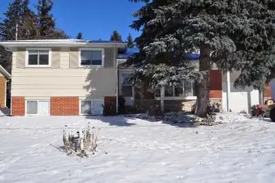 Detached in Brock