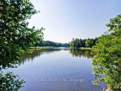 12 Manniku Road, Georgina, On L0e 1n0