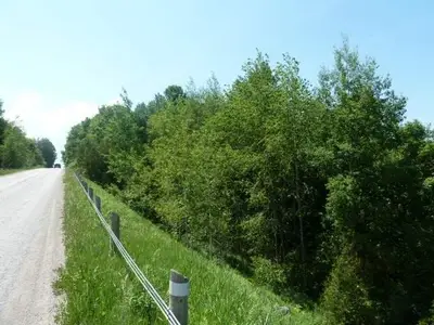 3224 Line 13, Bradford West Gwillimbury, ON L3Z 2A5