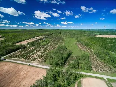 9024 20th (Tosorontio) Side Road, Adjala-Tosorontio, ON L9R 1V1