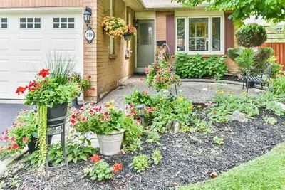 319 Atha Avenue, Richmond Hill, ON L4C 6A8