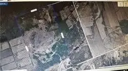 7818 Old Homestead Road, Georgina, ON XXX XXX
