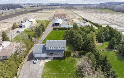 Detached in King