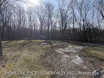 143 Holmes Point Road, Georgina, ON L0E 1N0