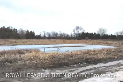 114 Terry Clayton Avenue, Brock, ON L0K 1A0