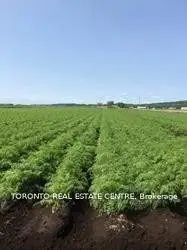 Lot 10 Concession 2 Road, Bradford West Gwillimbury, ON L3Z 3Y7